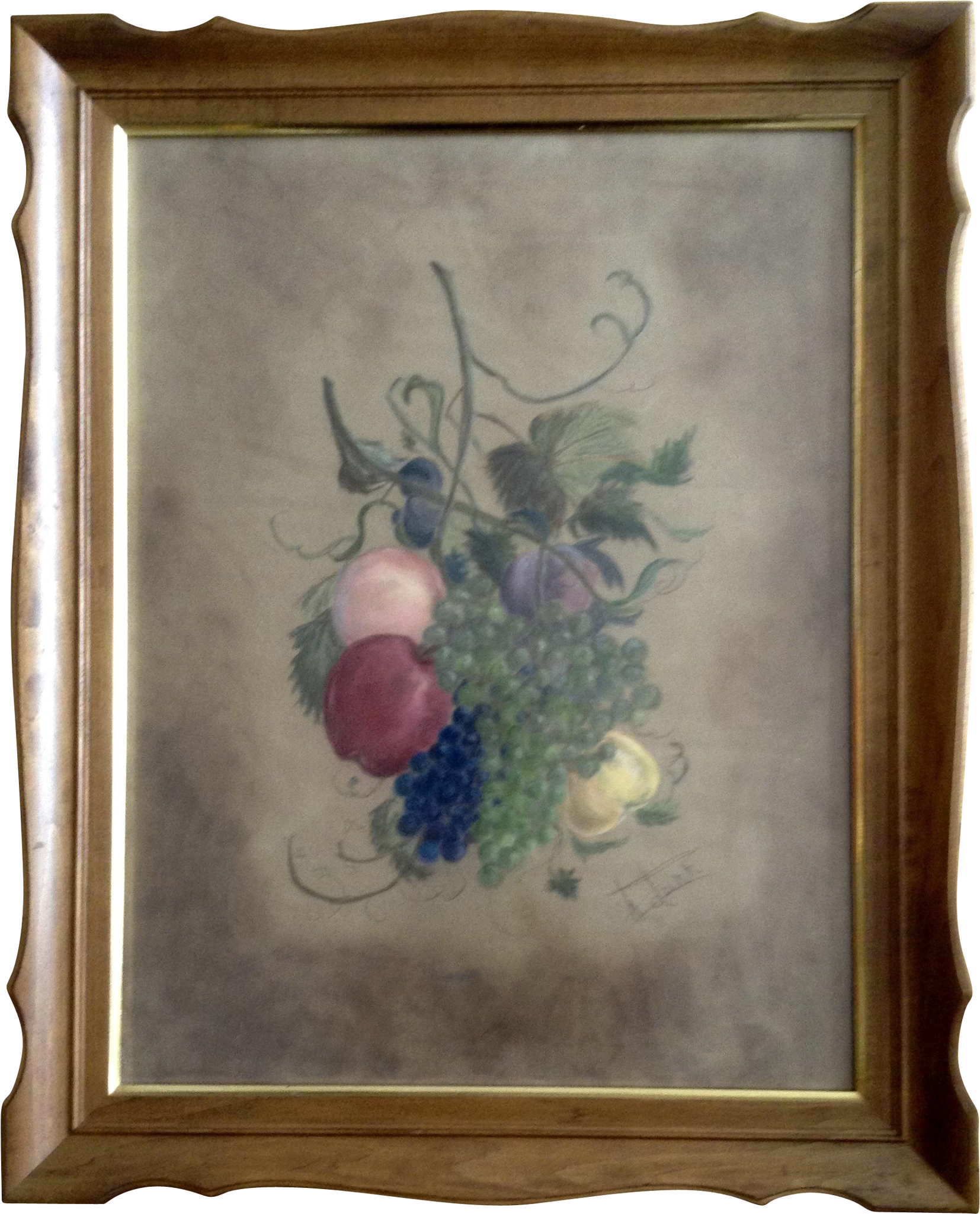 H Dunn, Large Still Life Pastel Drawing Of Grape Vines - Drawing (2048x2048), Png Download