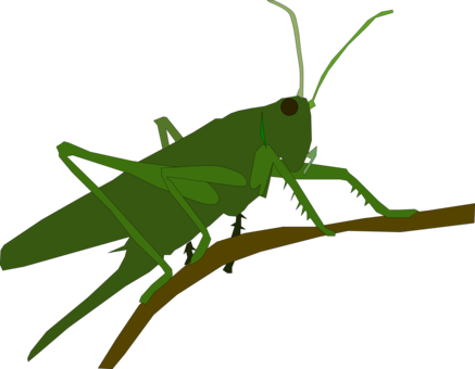 Grasshopper Insect Caelifera Animal Locust - Svg Grasshopper Icon (437x340), Png Download