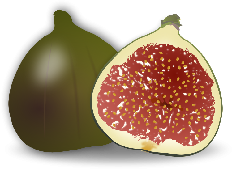 Pomegranate Clipart Animated - Clip Art Of Fig (800x589), Png Download