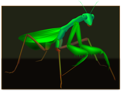 Mantis Grasshopper Insect Pest Cricket Wireless - Grasshopper (464x340), Png Download