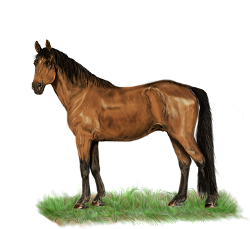 Horse Standing Digital Painting Digital Ar - Mbah Sgp 27 08 2018 (383x340), Png Download