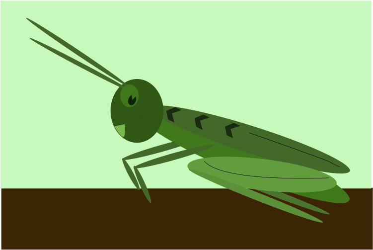 Hoe Teken Je Een Sprinkhaan (800x566), Png Download
