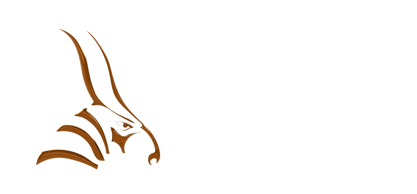 Bongo - Bat (860x400), Png Download