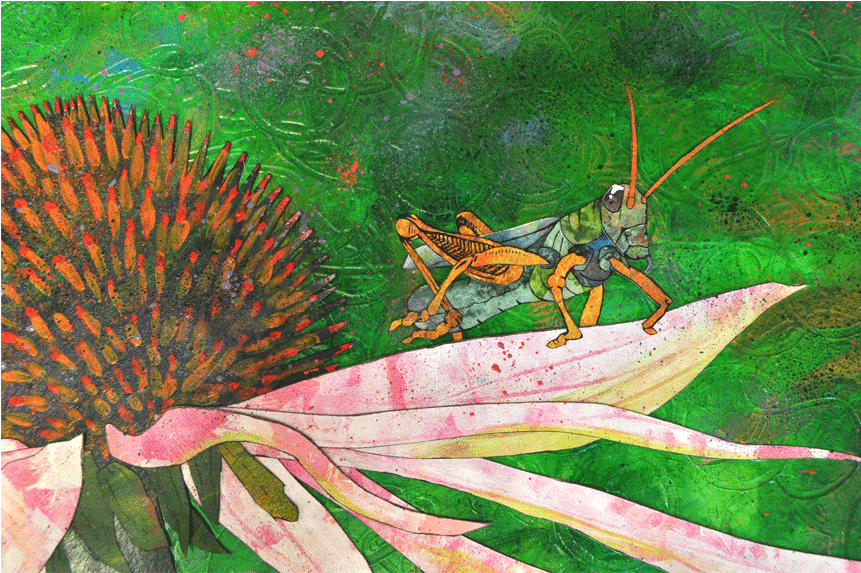 Previous / Next Image - Grasshopper (860x860), Png Download