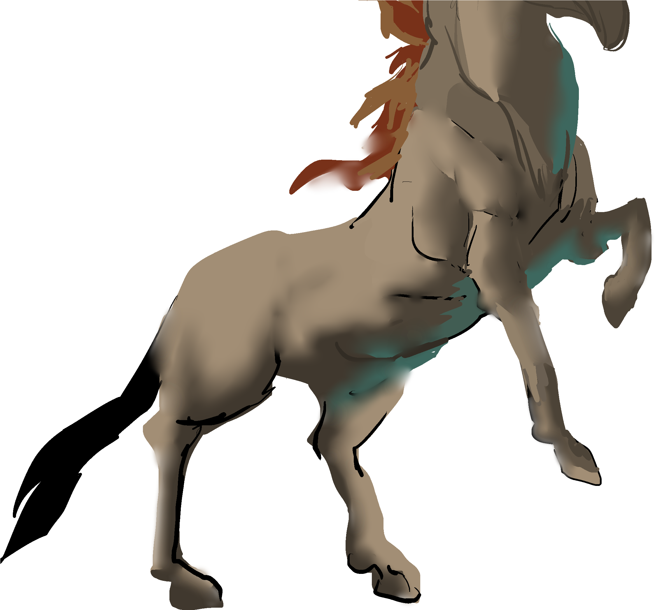 More Info - Asinnelius@gmail - Com - Stallion (2400x2466), Png Download