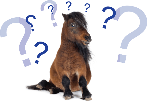 Do You Speak Russian - Pony Stuff By Ponies (585x417), Png Download