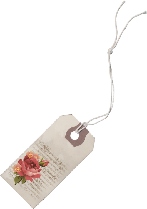 Embellishment (500x707), Png Download