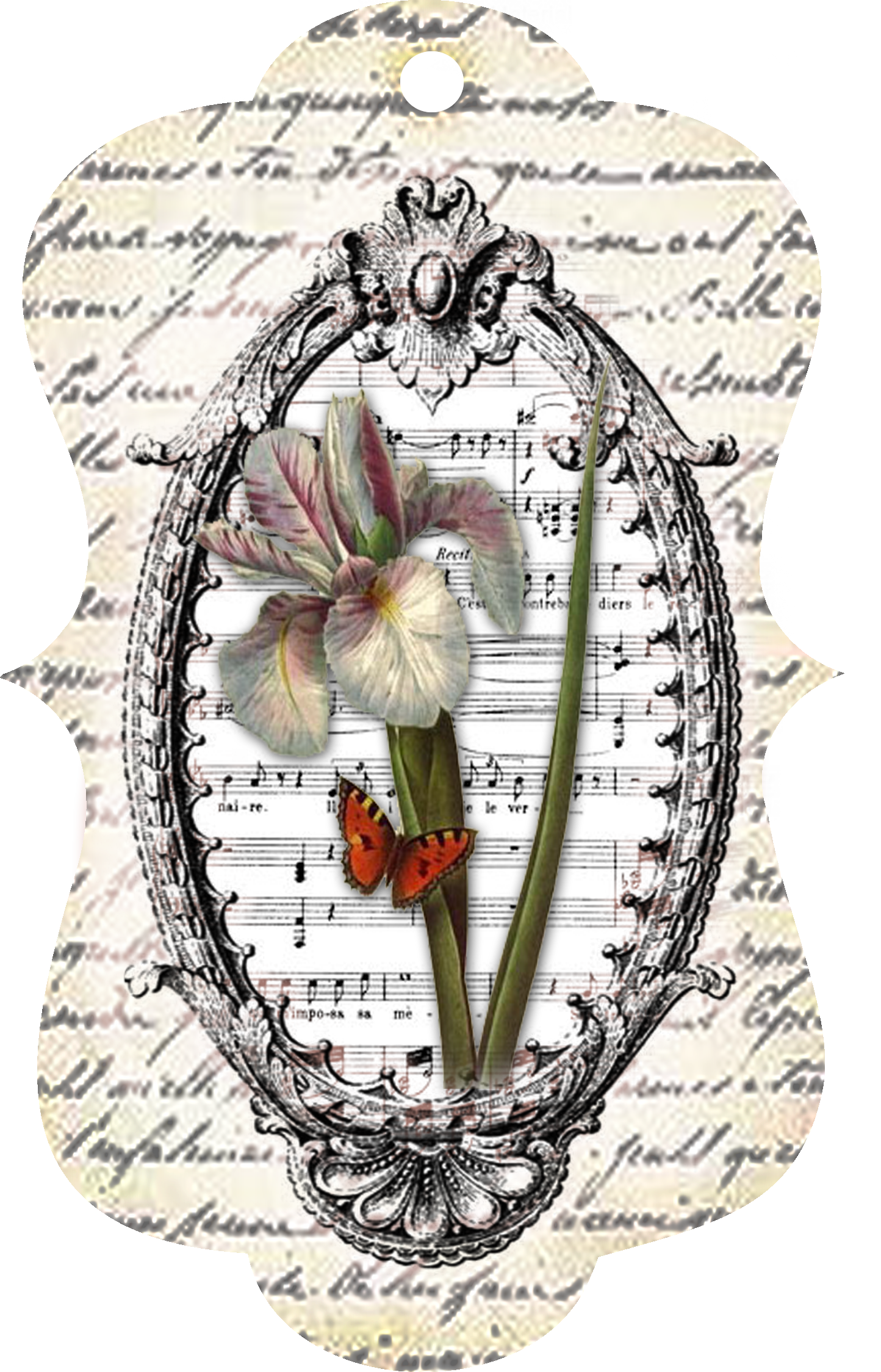 Vintage Flower Tag B - Classic Frame メッセージボード (1444x2248), Png Download