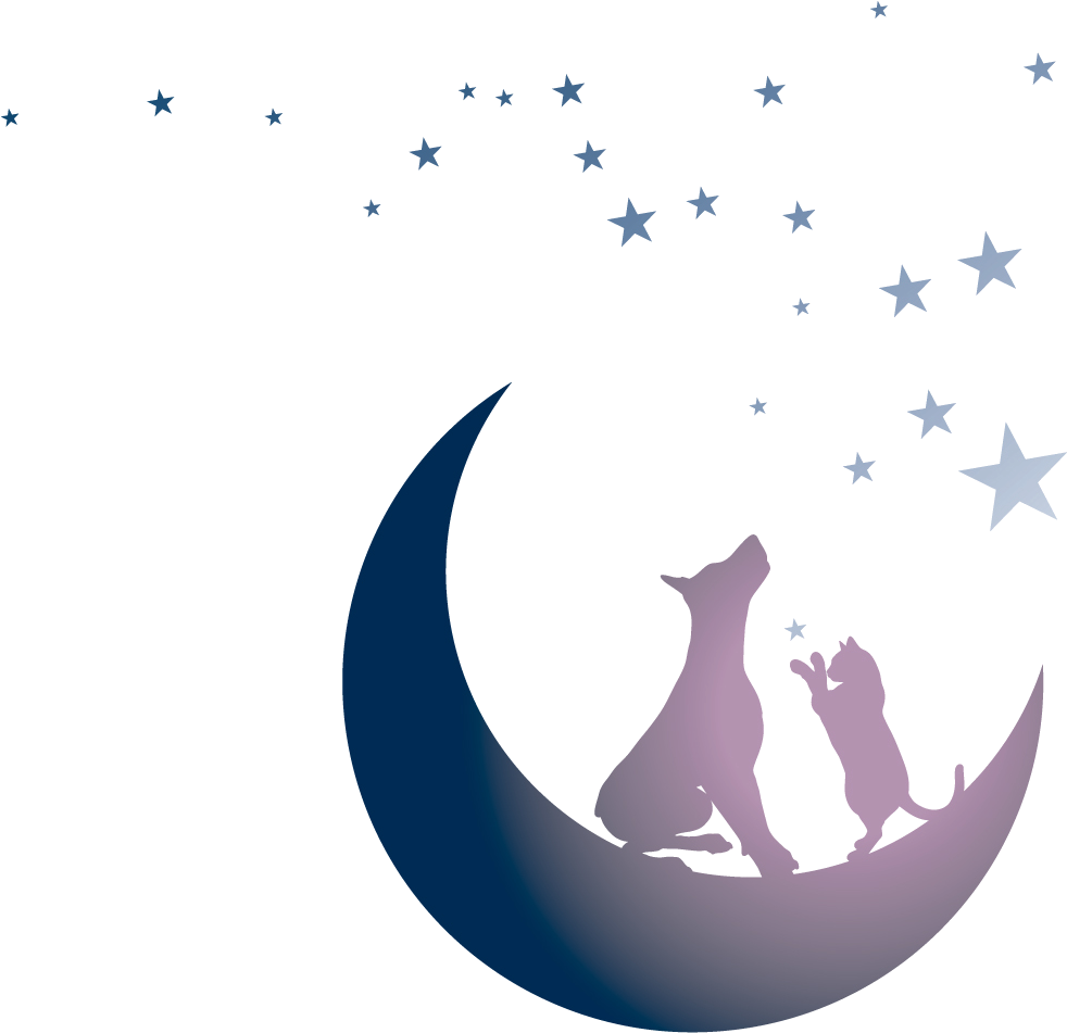 Tails By Twilight - Moon And Stars No Background (1260x994), Png Download