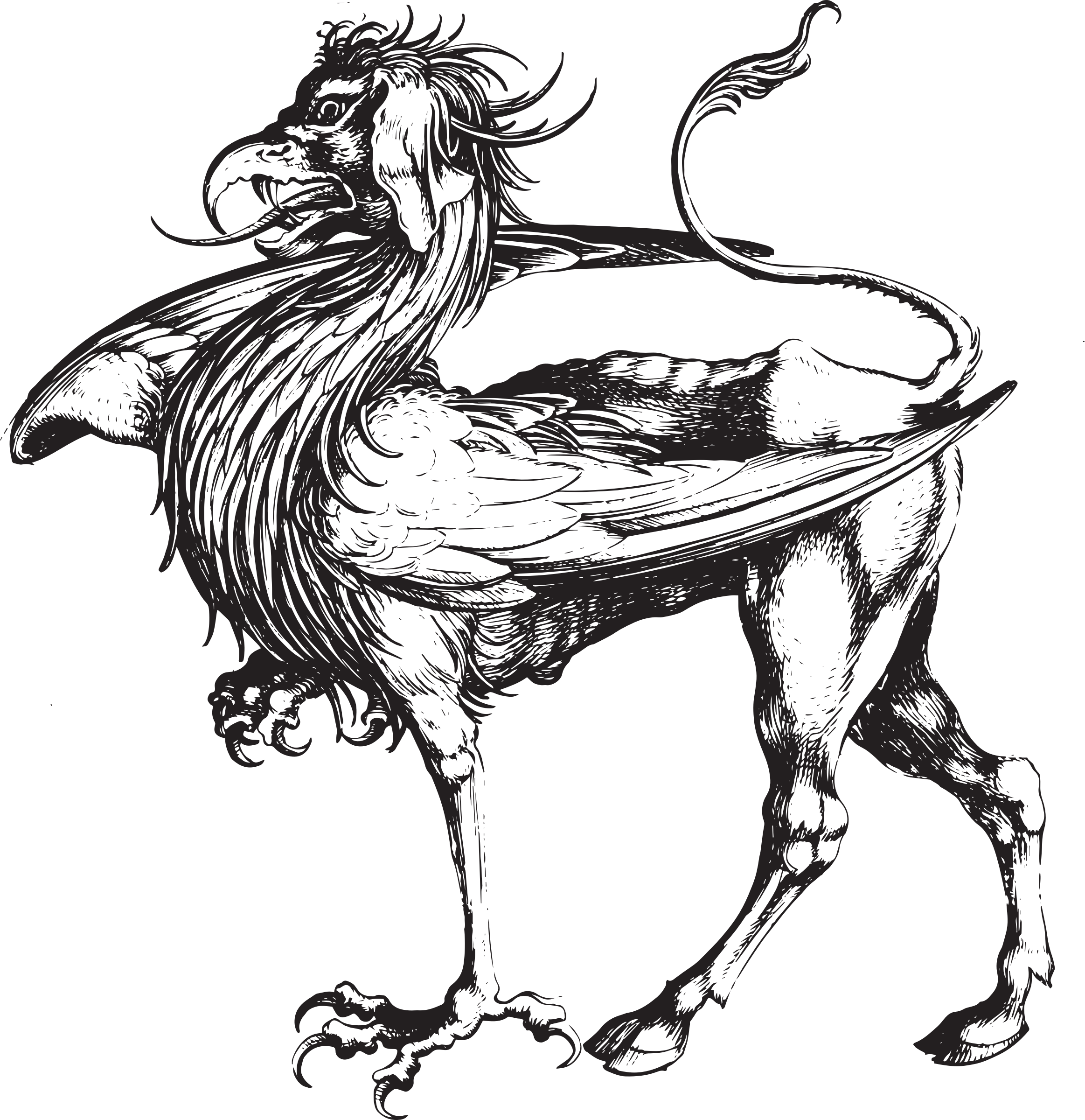 Griffin Renaissance Rooster Drawing Legendary Creature - Griffin Etching (727x750), Png Download