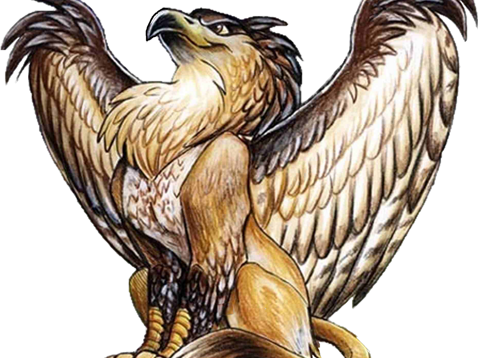 Half Eagle Half Lion (1600x1200), Png Download