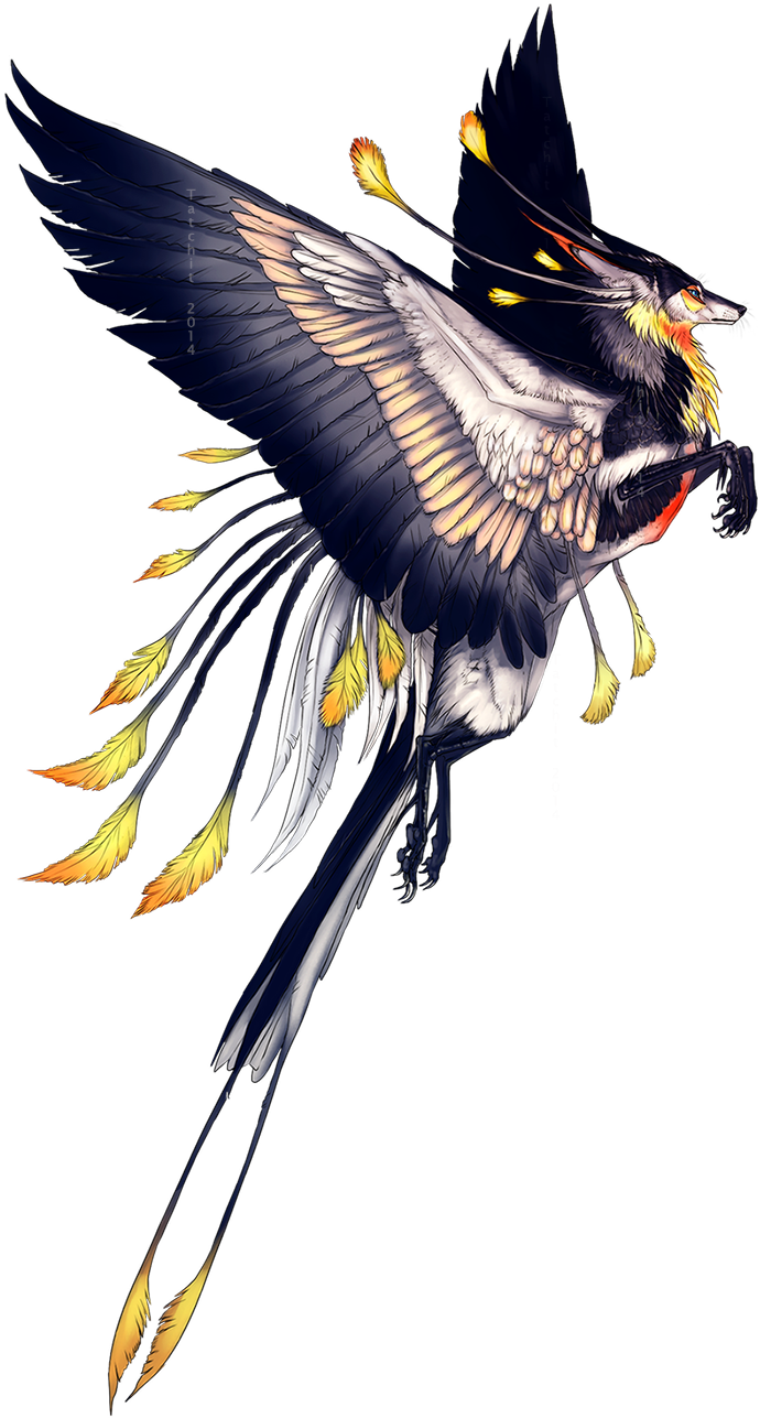 Fox Griffin Of Paradise✅ - Winged Tropic Phoenix (700x1286), Png Download
