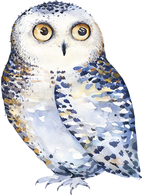 Children's Door Hanger - Watercolor Owl Clipart (500x685), Png Download