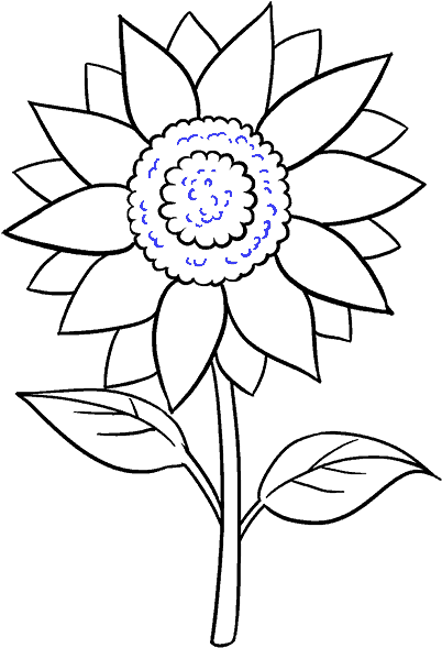 How To Draw Sunflower Step - Sun Flower Black And White (678x600), Png Download