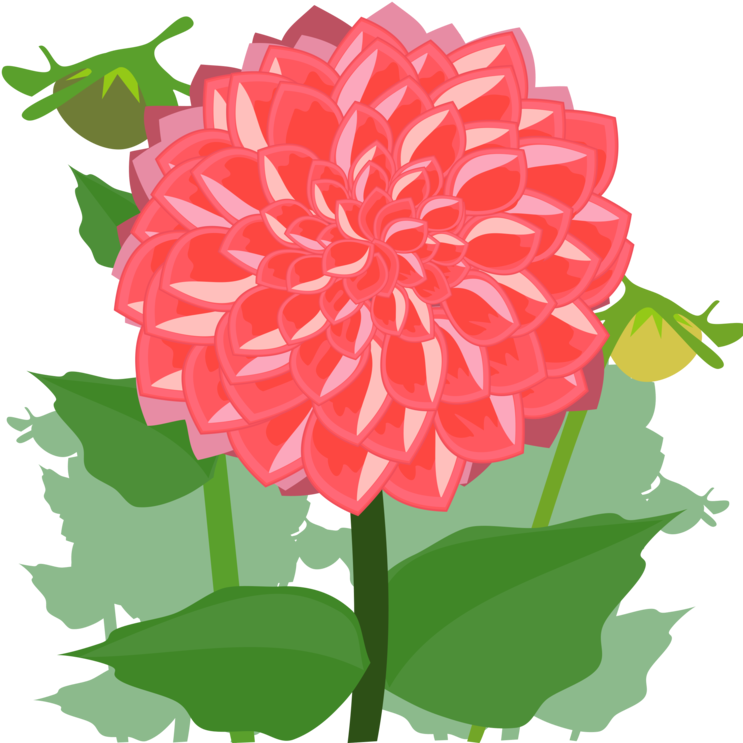 Dahlia Cut Flowers Drawing Daisy Family - Dahlia Clipart (750x750), Png Download