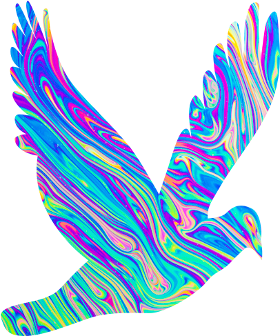 Eagle (1024x768), Png Download