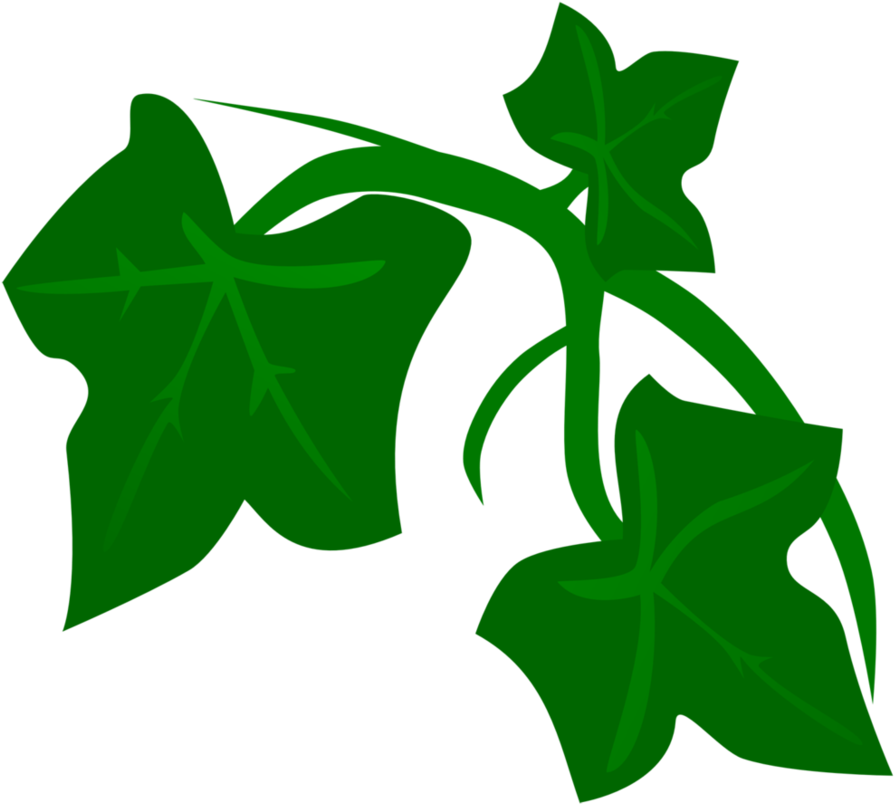 Poison Ivy Logo Png Jpg Library Library - Poison Ivy Plant Cartoon (927x862), Png Download