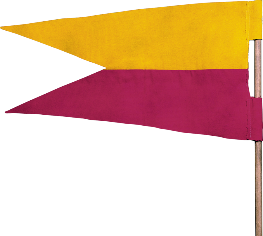 Download Harry Potter Gryffindor Flag Png Clipart Gryffindor - Harry Potter Quidditch Flags (900x809), Png Download