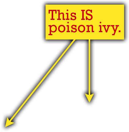 The Poison Ivy Does Not Have The Symmetry Of The Other - Quiz (900x600), Png Download