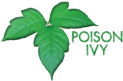 So Sam Got Squeezed In At The Doctor, Wound Up With - Poison Ivy (454x333), Png Download