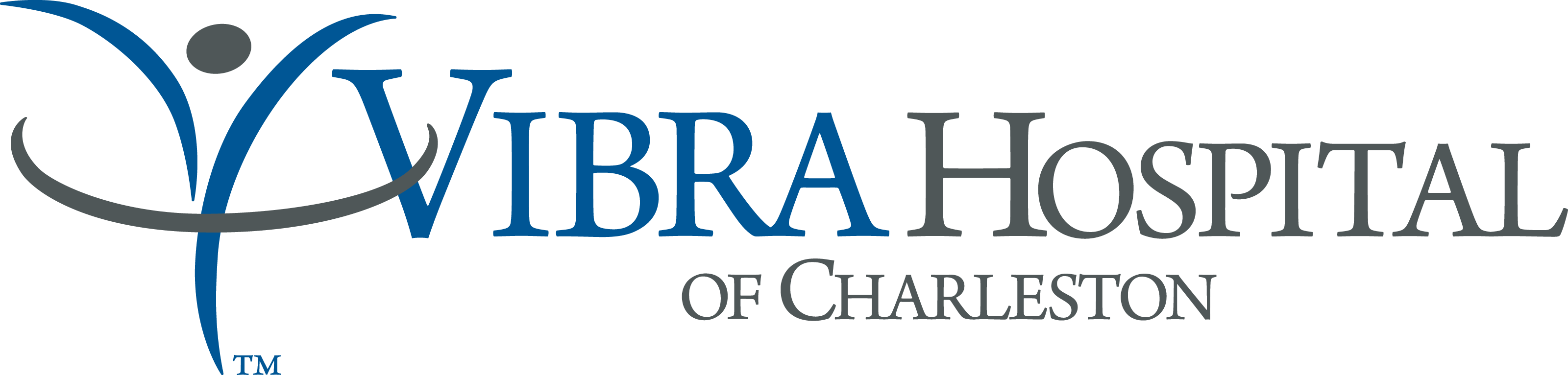 Vibra Hospital Of Charleston - Ron Paul 2012 Restore America (3200x766), Png Download