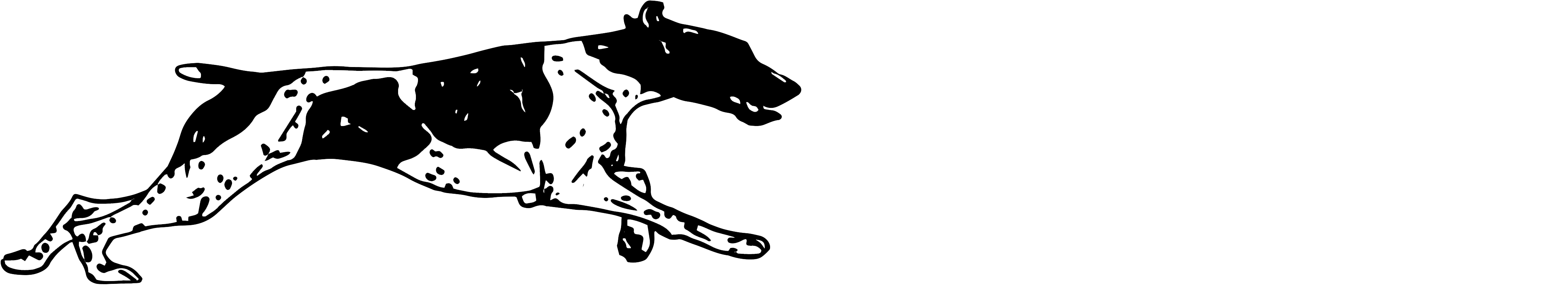 Blitz Pet Professionals - Dog (4853x1113), Png Download