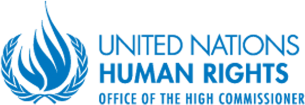 Un Human Rights High Commissioner Calls For Action - Office Of The United Nations High Commissioner (624x238), Png Download