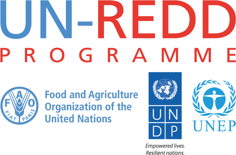 Un Redd Programme Logo (894x631), Png Download