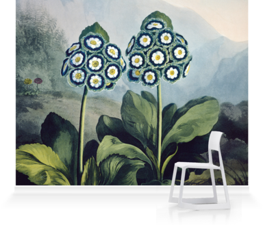 Zoom - Golden Age Of Flowers: Botanical Illustration (384x329), Png Download