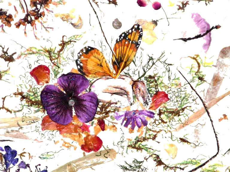 Register - Pansy (768x576), Png Download