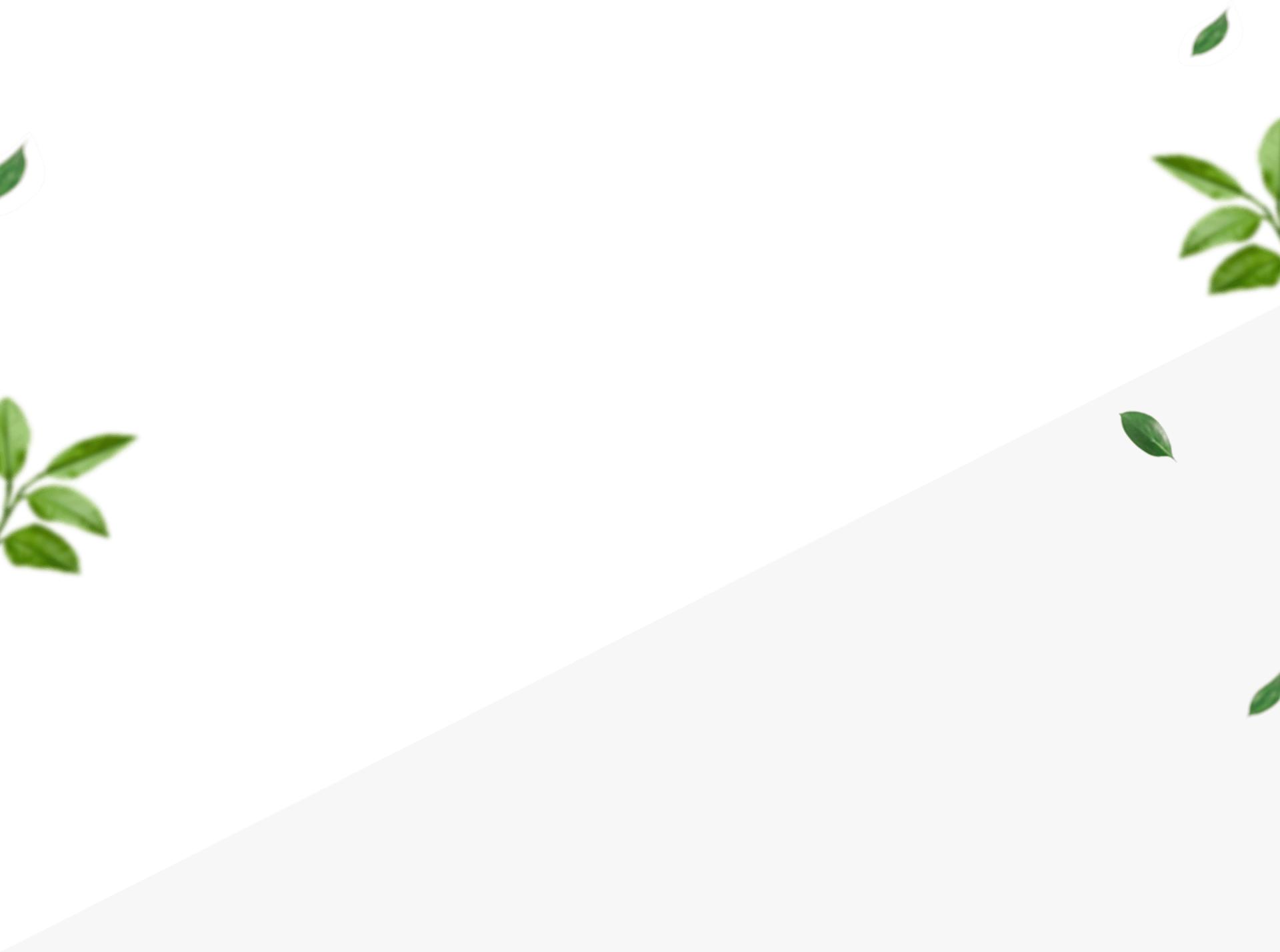 Bg About Store - Graphic Design (1920x1428), Png Download