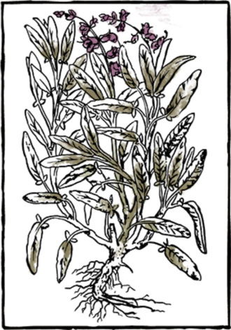 Book Herb12 - Book (330x472), Png Download