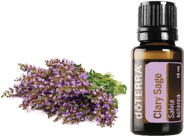 Description Doterra Clary Sage Essential Oil 15 Ml Full Size Png Download Seekpng