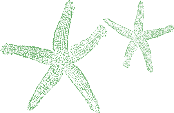 How To Set Use Starfish Sage Clipart (600x391), Png Download