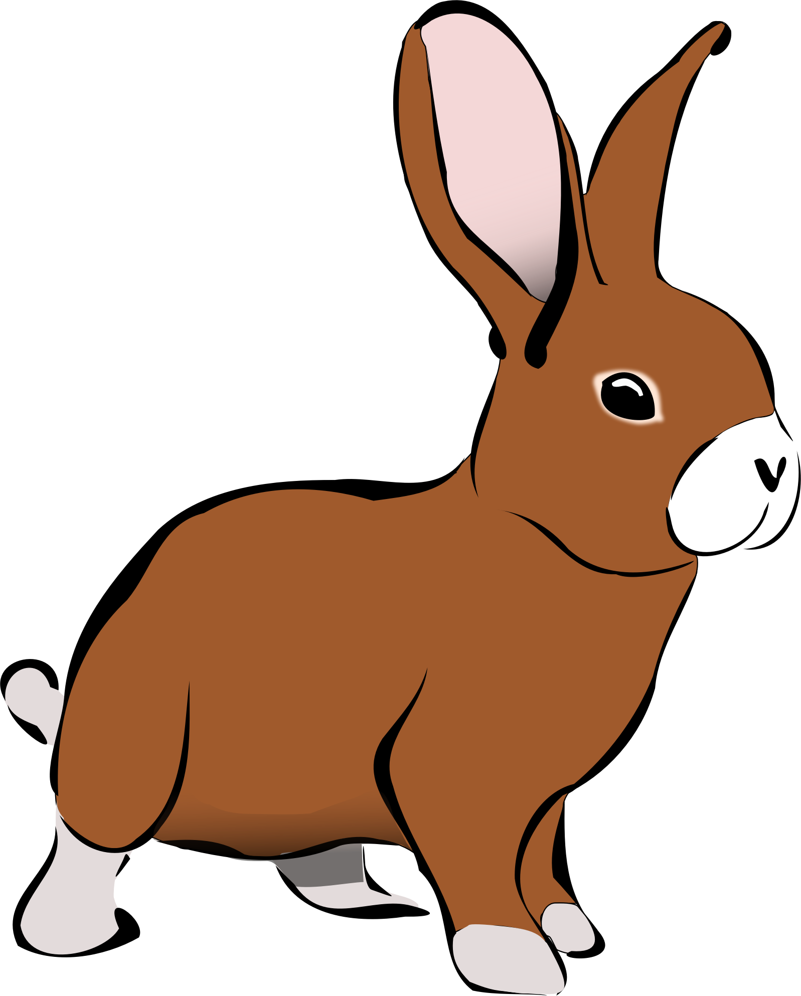 Colorful Clipart Bunny - Rabbit Clipart (800x1041), Png Download