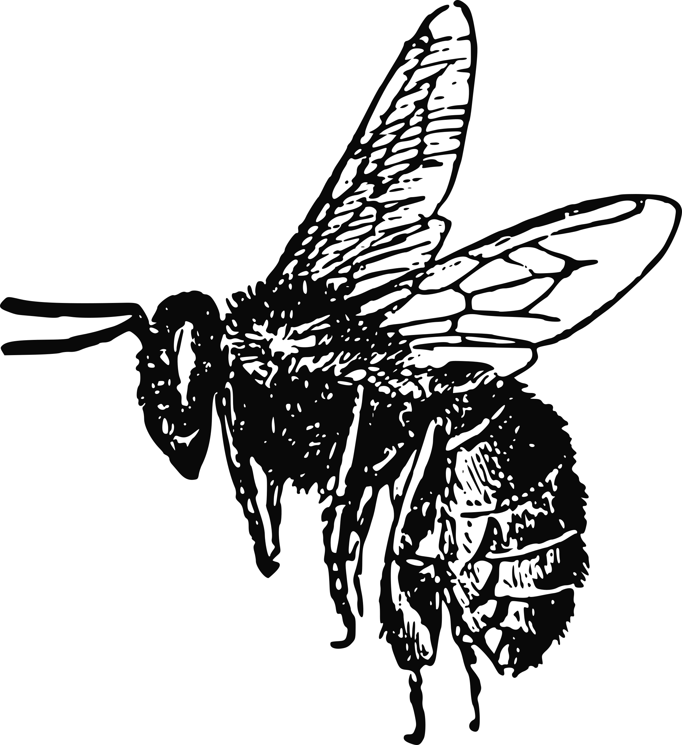 Big Image - Bee Clip Art (2198x2400), Png Download
