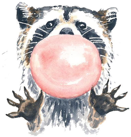 Scraccoon Raccoon Bubble Animal Ftestickers - Raccoon Bubble Gum (564x572), Png Download