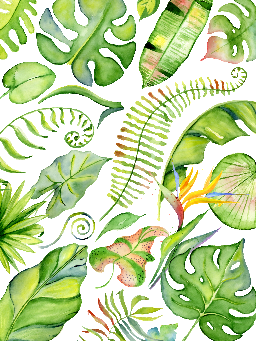 This Backgrounds Is Hand Drawn Various Varieties Of - Watercolor Painting (1024x1365), Png Download
