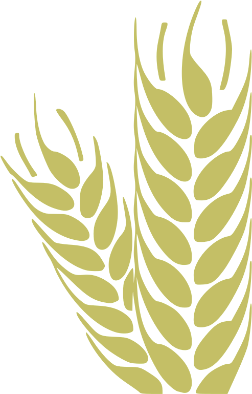 Simple Wheat Clipart (566x800), Png Download