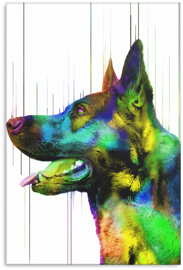 German Shepherd Canvas P55 - German Shepherd (900x900), Png Download