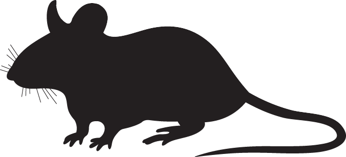 Rat Silhouette Png - Mouse Silhouette (675x307), Png Download