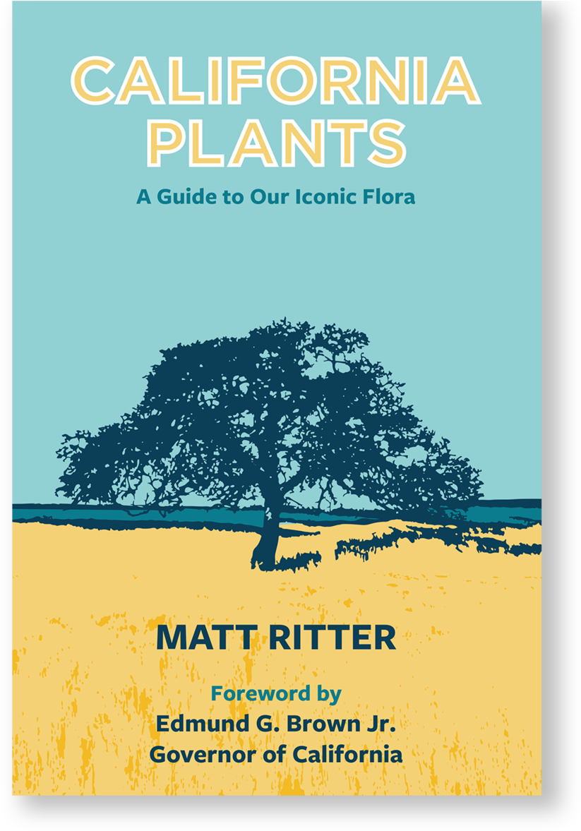 California Plants Excerpt1-1 - California Plants Matt Ritter (1000x1250), Png Download