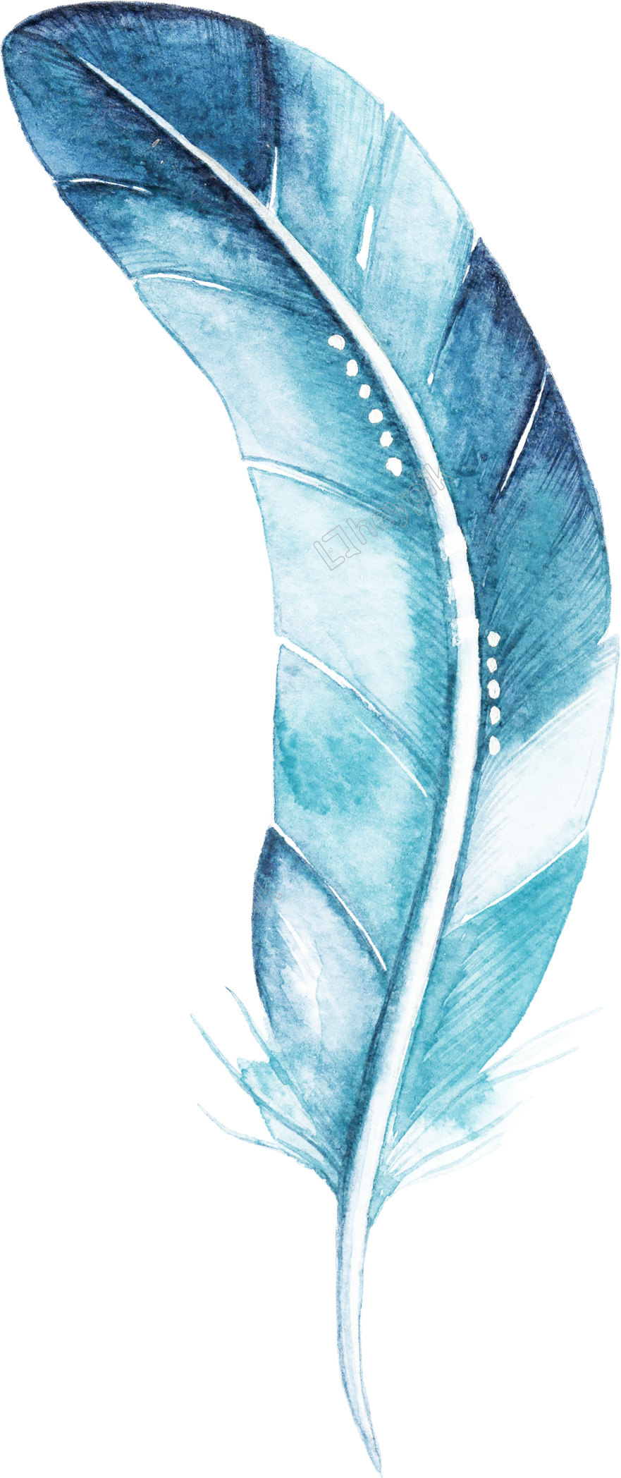 Blue Feather Cartoon Watercolor Beautiful Transparent - Watercolor Painting (881x2096), Png Download