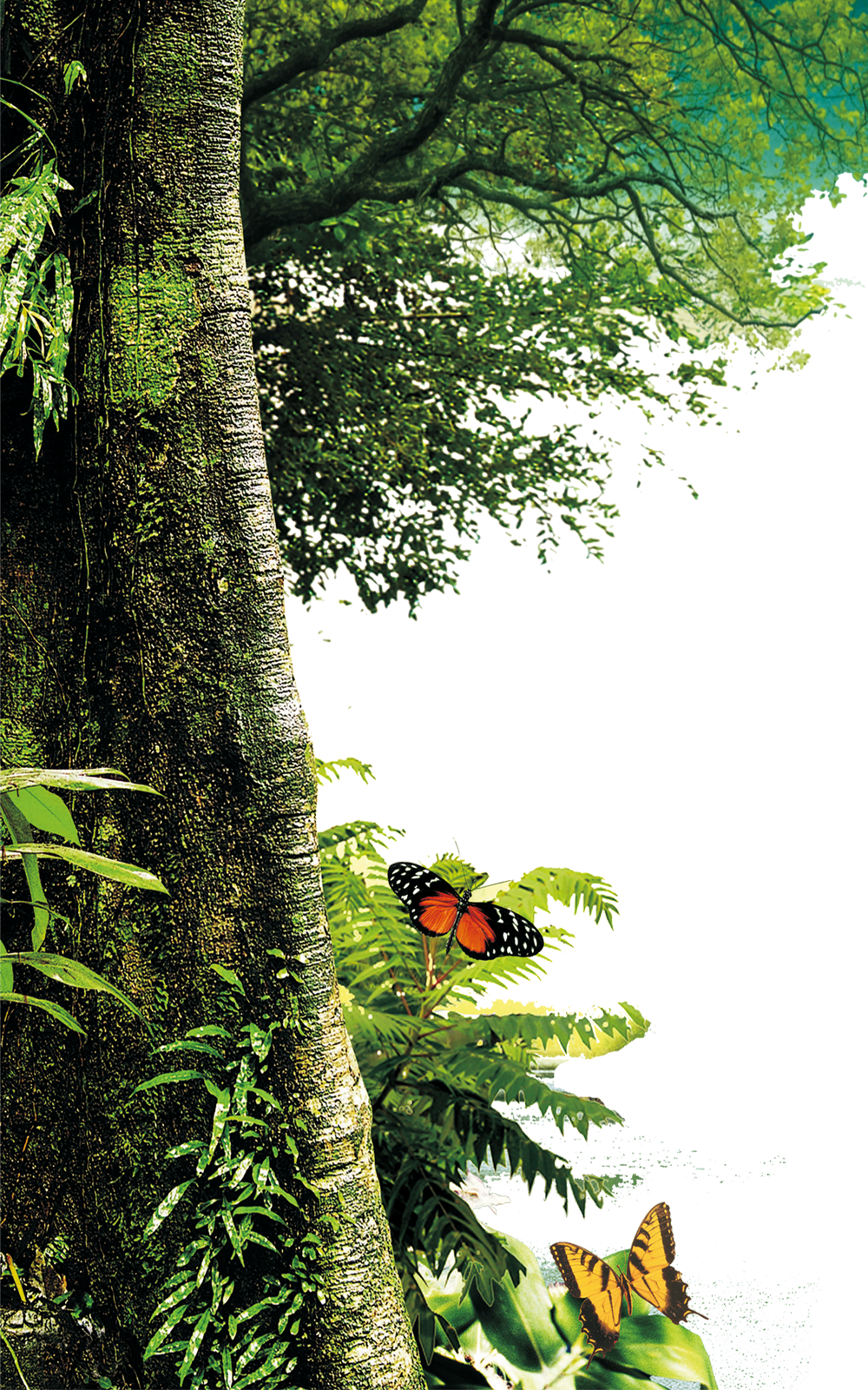 Forest Download Png - Png Images Of Nature (640x1024), Png Download