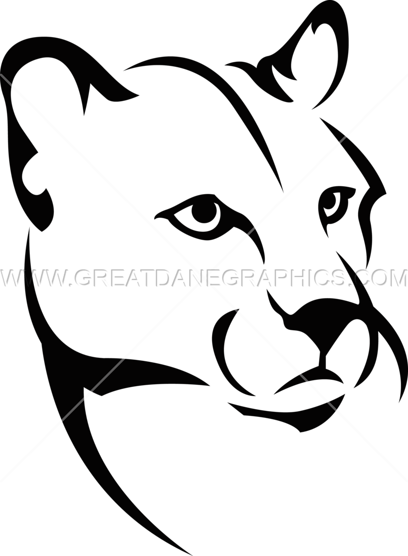 Mountain Lion - Mountain Lion Head Drawing (825x1123), Png Download