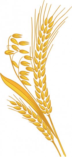 Grain Png (250x541), Png Download
