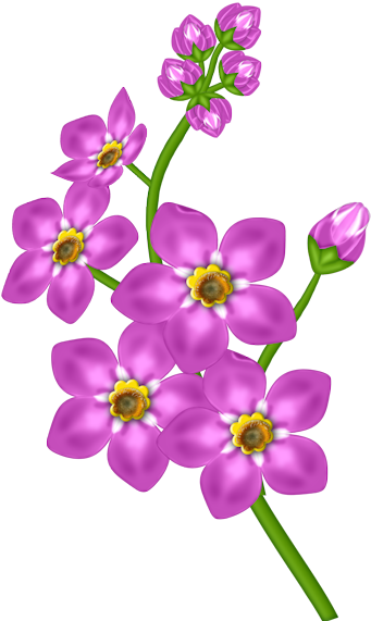 Pink Flower Png Flowers Pinterest - Clip Art Flower Transparent (600x600), Png Download