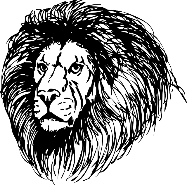 Lion, Lionhead, Cat, Head, Black, Tribal, Outline - Mane Clipart Black And White (640x633), Png Download