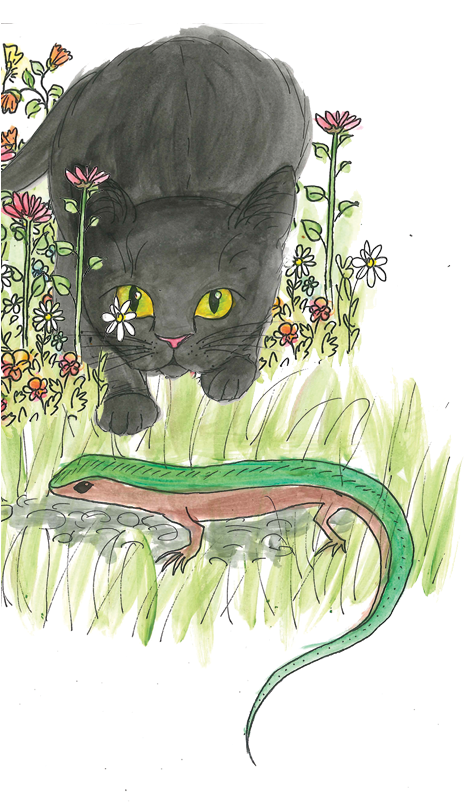 Black Cat (468x820), Png Download