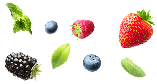 Mike & Mike's Toronto Ontario Organic Food Distributor - Fruits Top View Png (526x282), Png Download